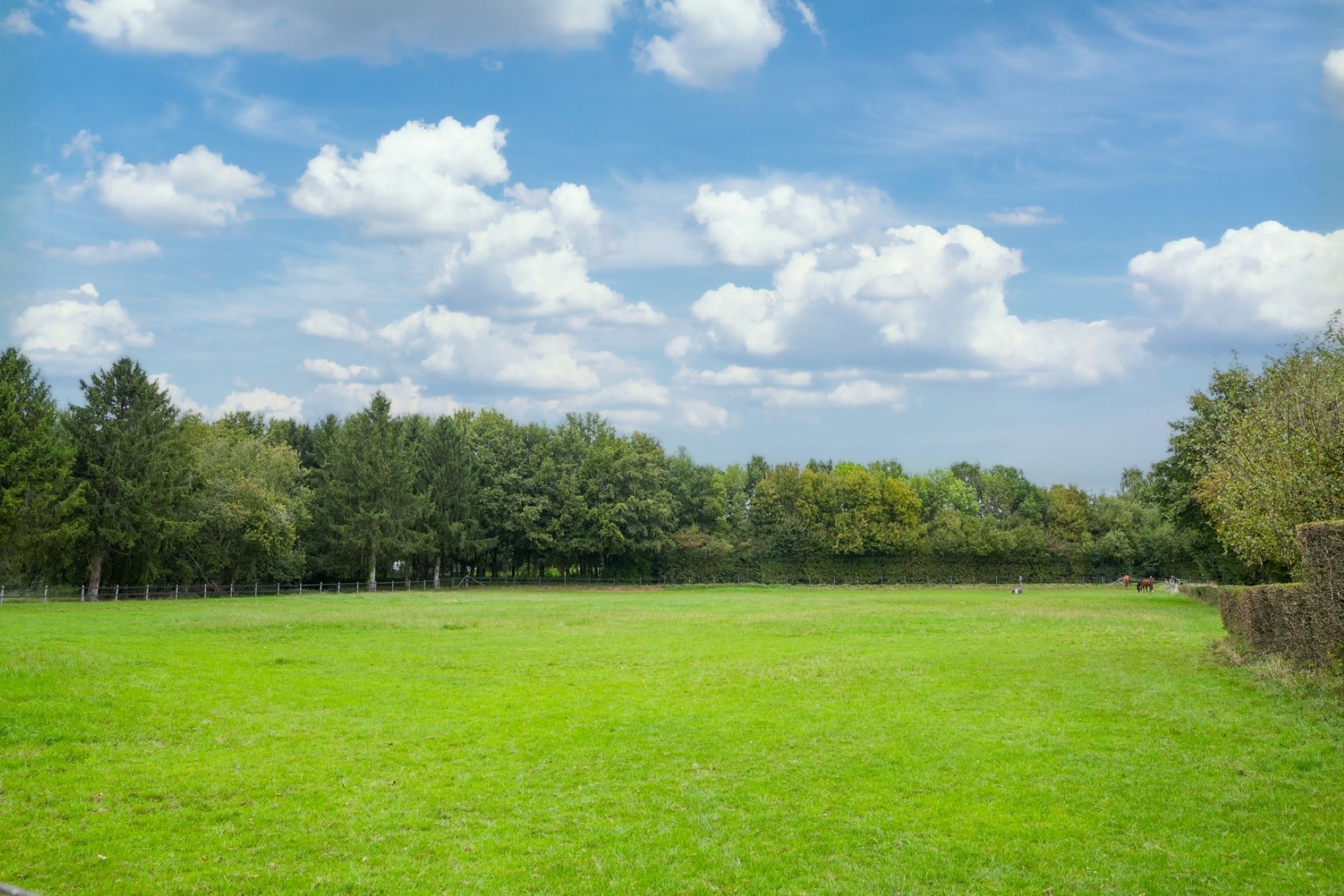 Foto 30 van Kruisstraat 5