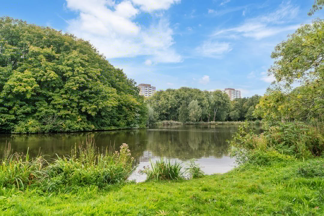 Foto 37 van Postjeskade 151-3