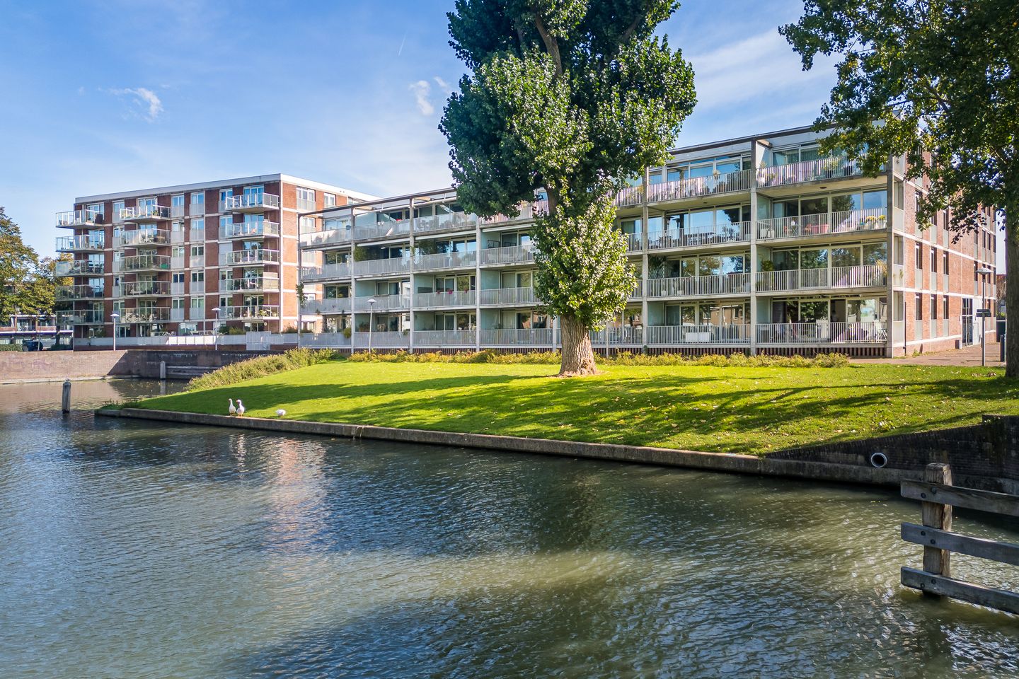 Foto 4 van Broeder Alarmstraat 87