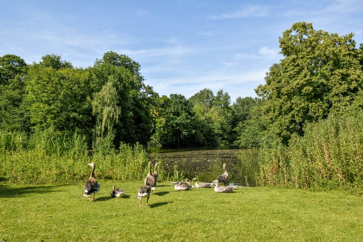 Foto 27 van Overtoom 538-1