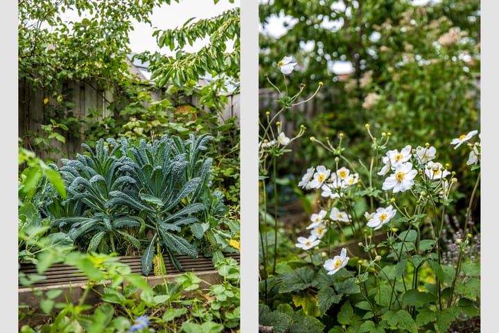 Foto 21 van Simplonbaan 336