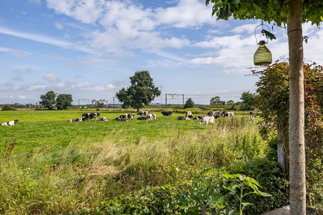 Foto 26 van Achterhoeskamp 38