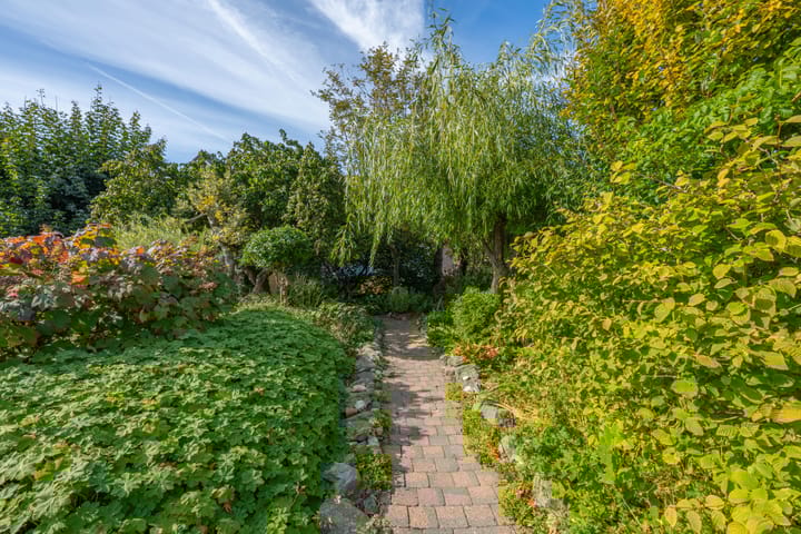 Foto 61 van Schepenstraat 10