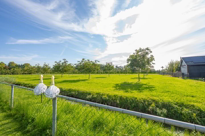 Foto 74 van Schepenstraat 10