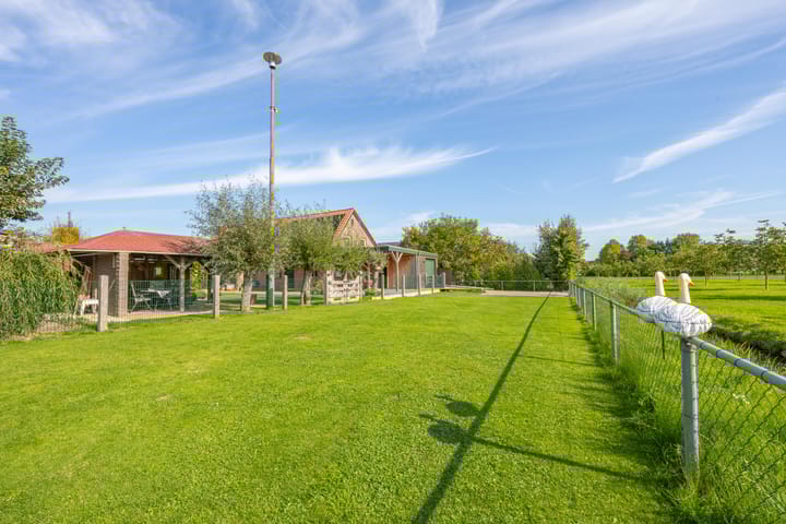 Foto 75 van Schepenstraat 10