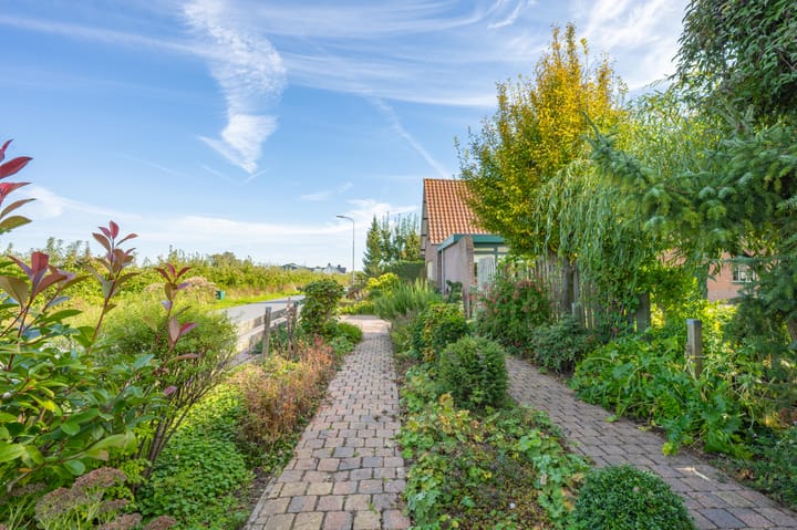 Foto 84 van Schepenstraat 10