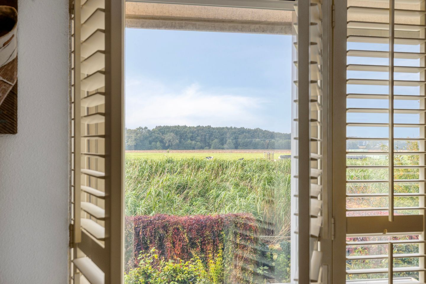 Foto 29 van De Mandestraat 22