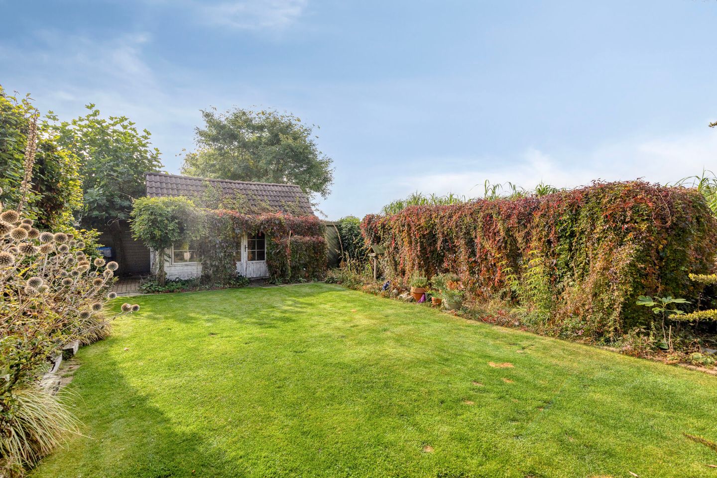 Foto 40 van De Mandestraat 22