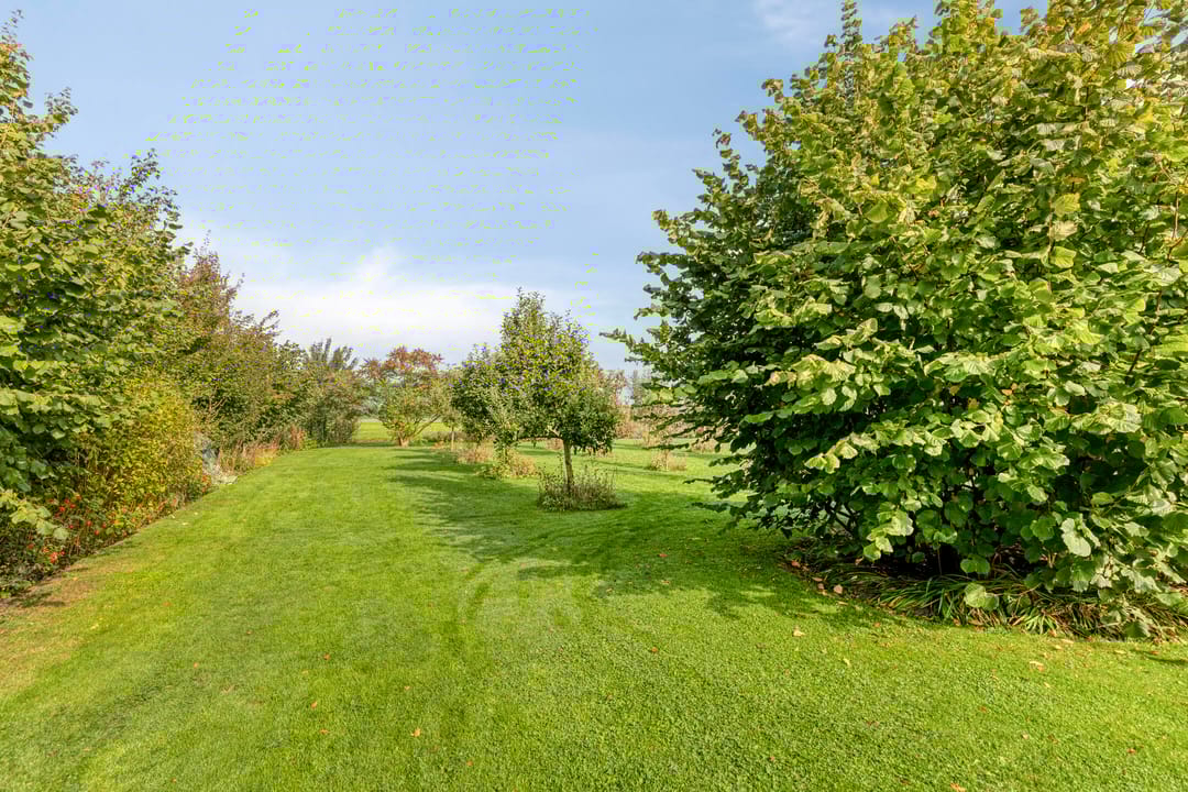 Foto 41 van De Mandestraat 22