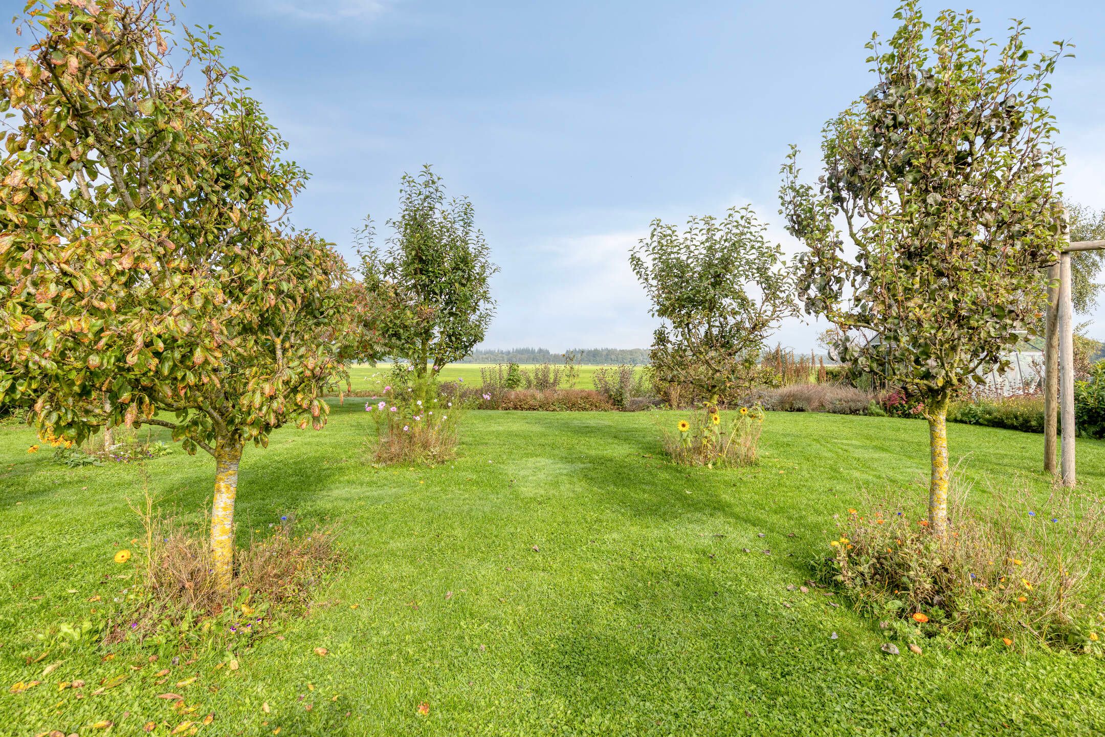 Foto 45 van De Mandestraat 22