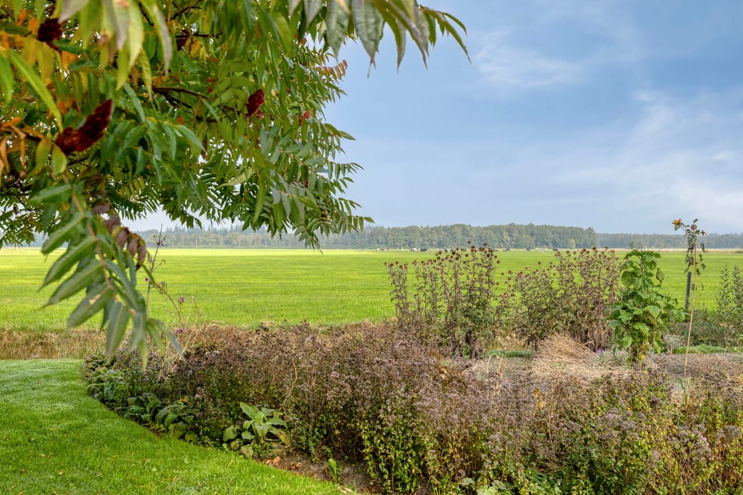 Foto 47 van De Mandestraat 22