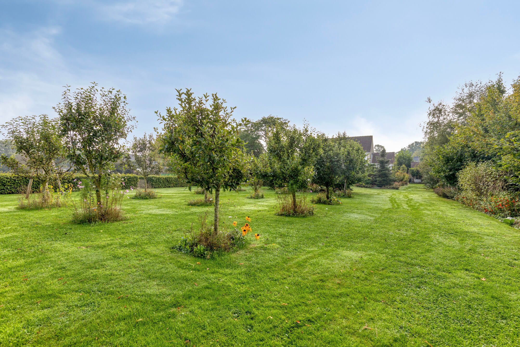 Foto 48 van De Mandestraat 22