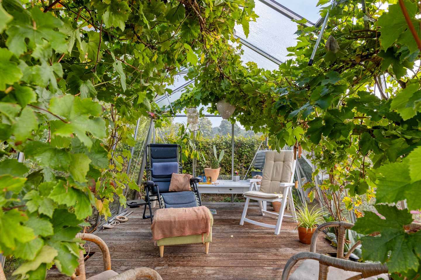 Foto 50 van De Mandestraat 22