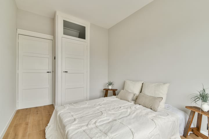 Foto 21 van Willem Buytewechstraat 120-C03