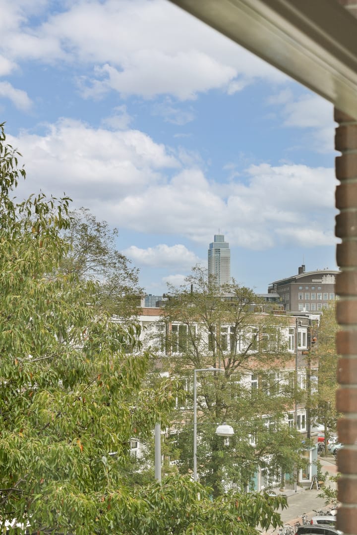 Foto 22 van Willem Buytewechstraat 120-C03