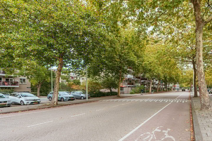 Foto 30 van Geervliet 51