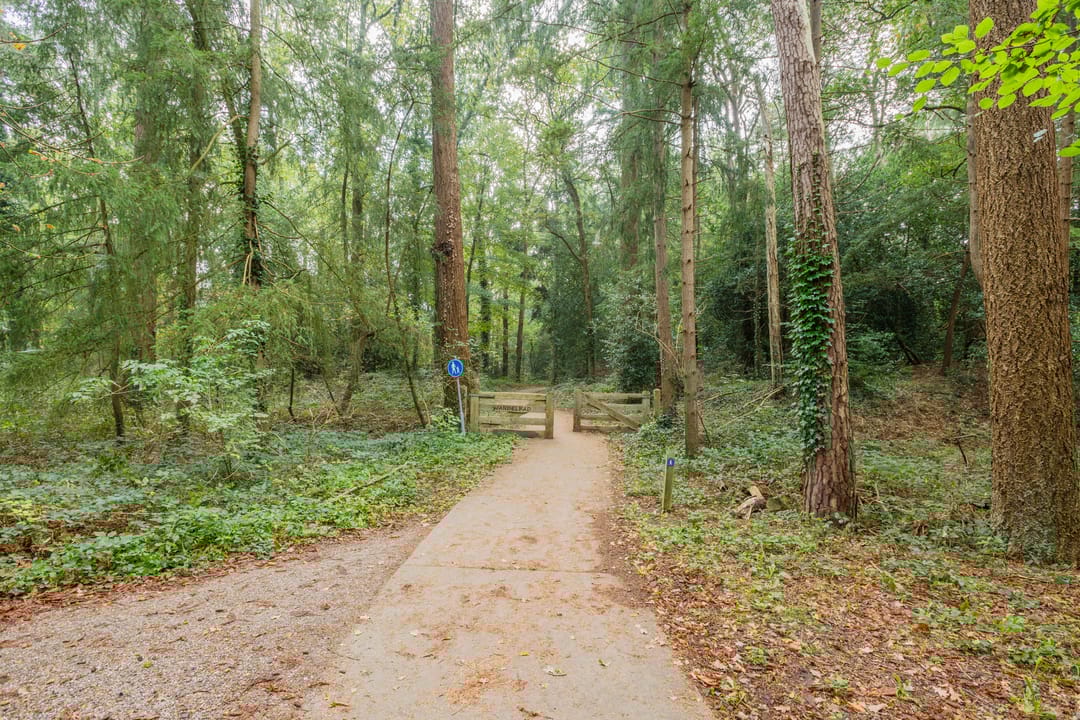 Foto 43 van Van Emstweg 11