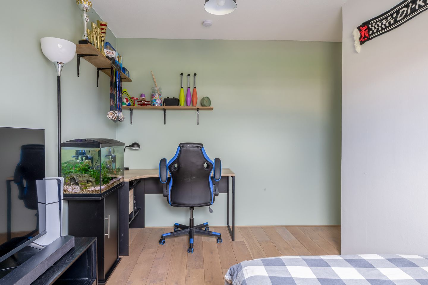 Foto 35 van Theodora Haverstraat 8