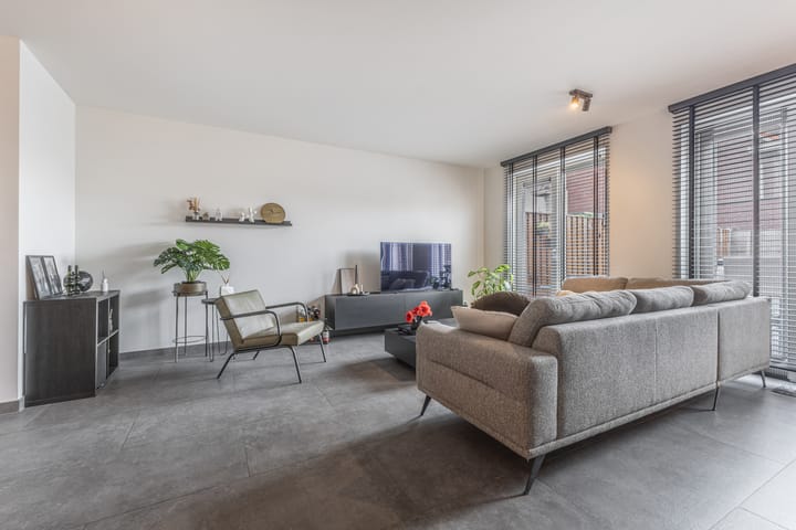 Photo 10 of Palmkool 4