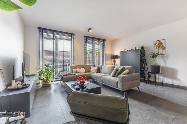 Photo 11 of Palmkool 4