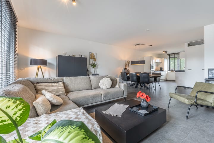 Photo 12 of Palmkool 4