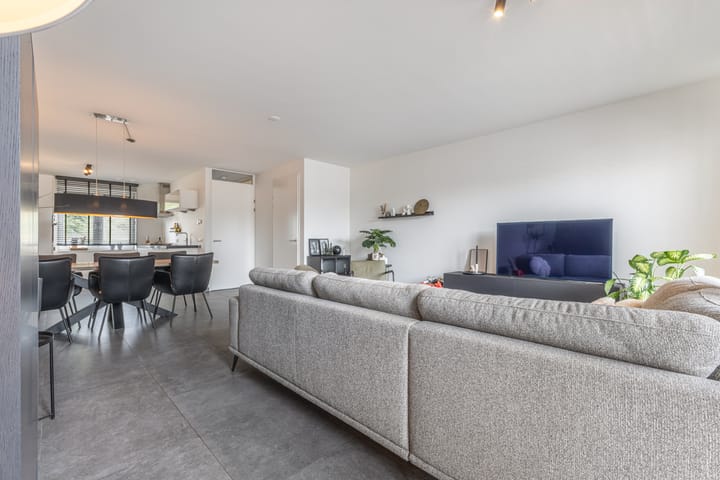 Photo 13 of Palmkool 4