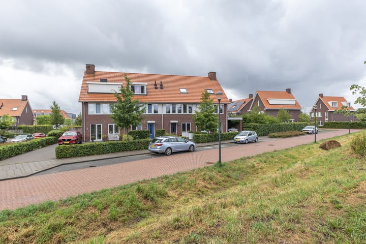 Photo 39 of Palmkool 4