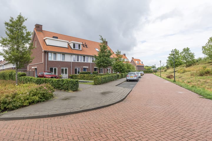 Photo 40 of Palmkool 4