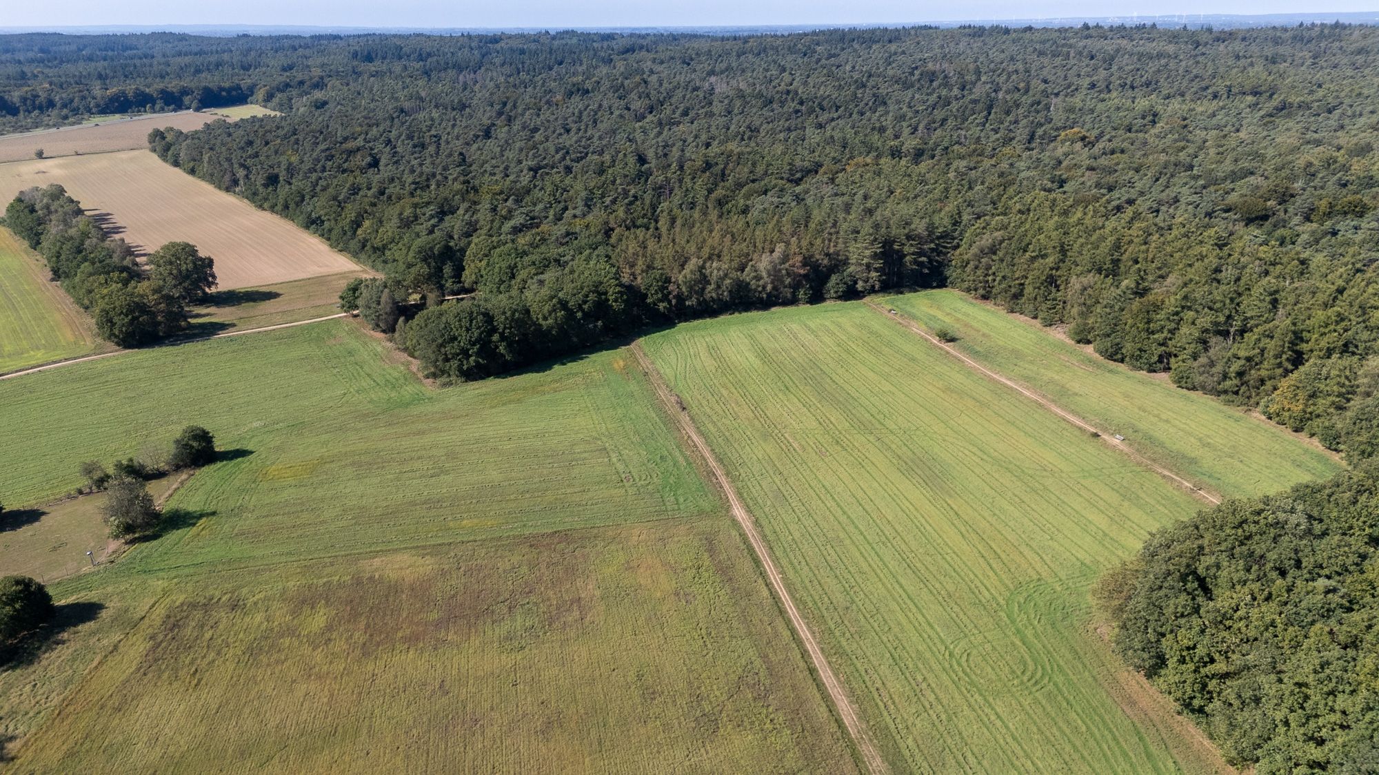 Foto 9 van Koningsstraat 9