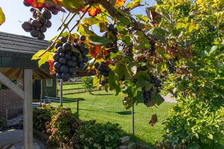 Photo 28 of Koningsstraat 9