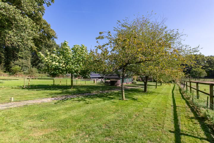 Photo 37 of Koningsstraat 9