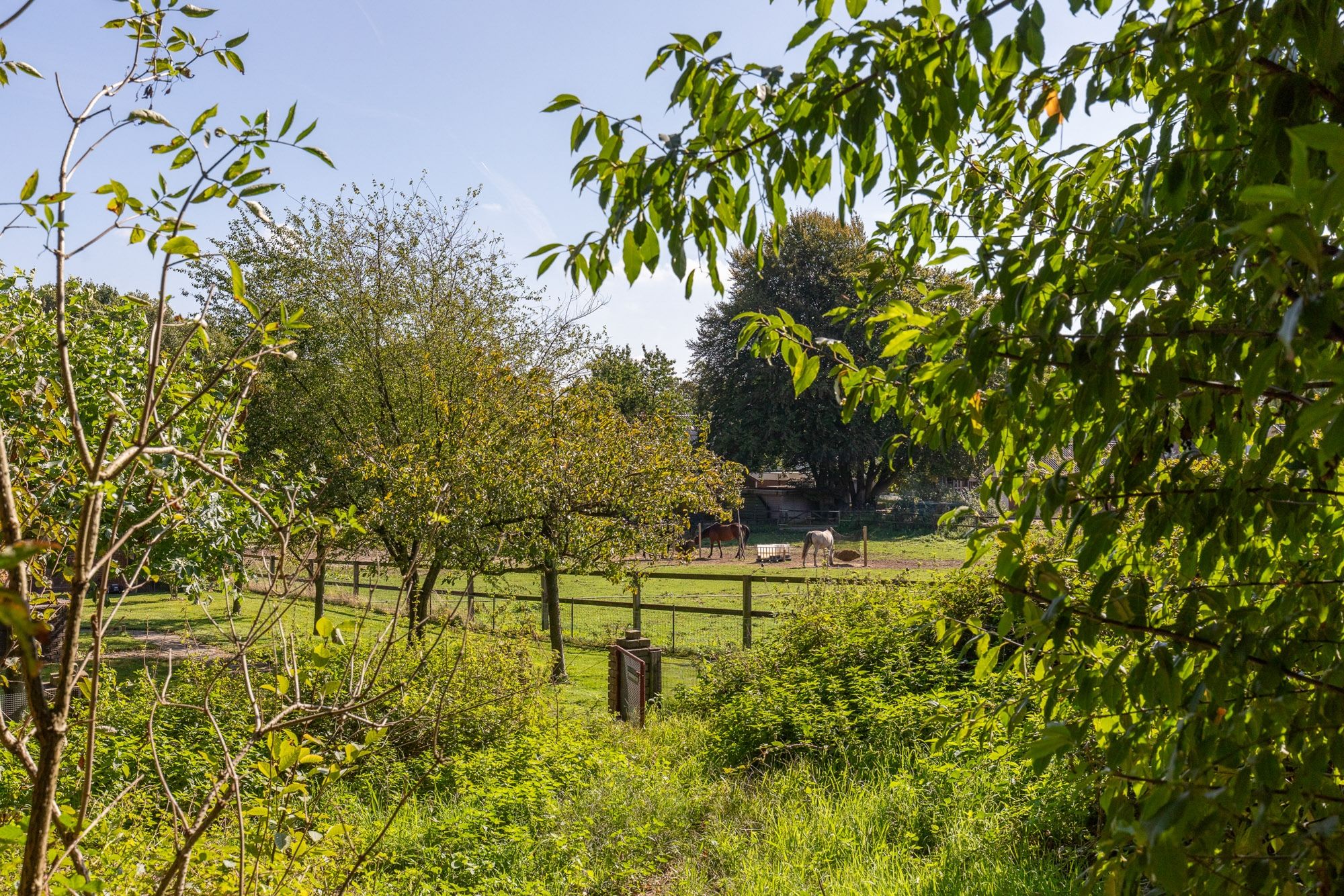 Foto 42 van Koningsstraat 9