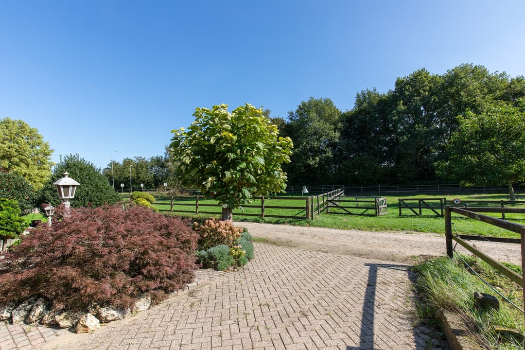 Foto 43 van Koningsstraat 9