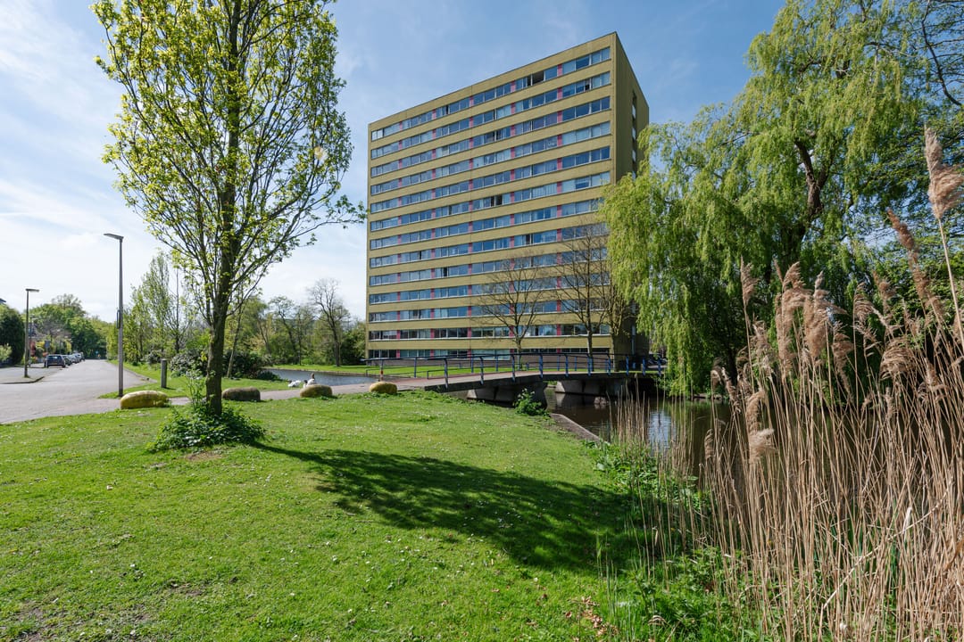 Foto 28 van Boeierstraat 291