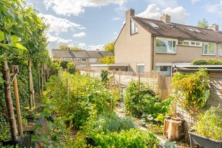 Foto 38 van Dotterbloemstraat 15