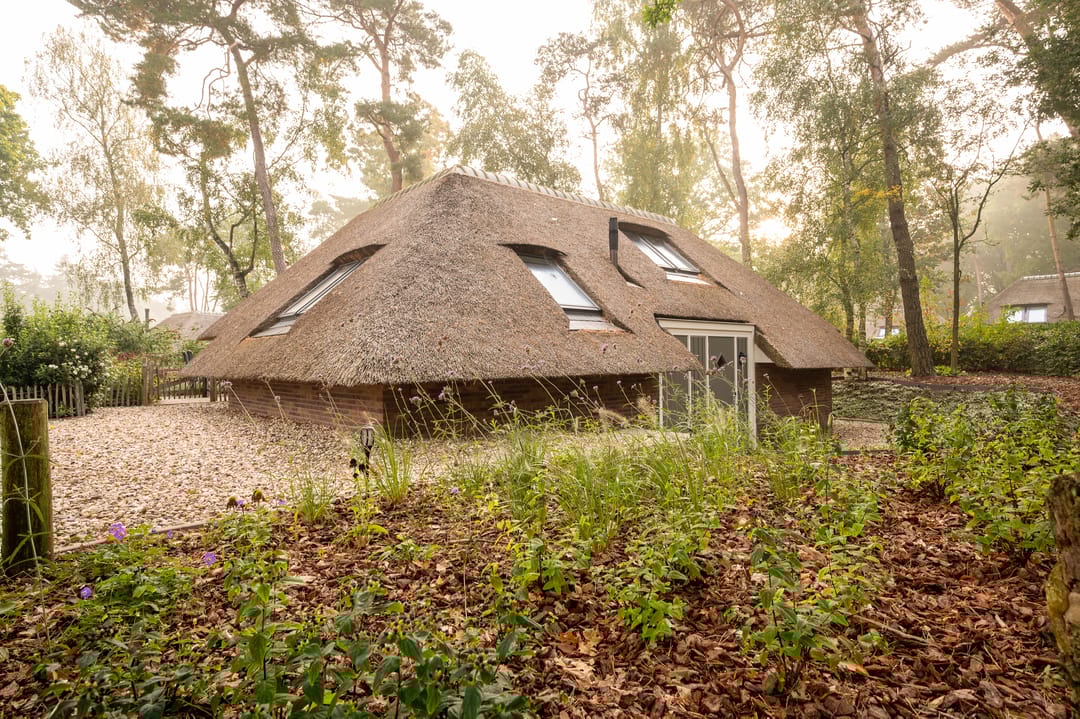 Foto 7 van Hoorneweg 17-B17