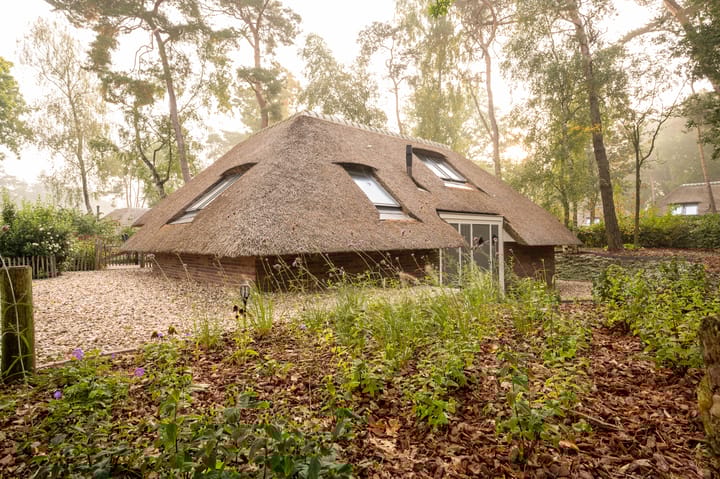 Photo 7 of Hoorneweg 17-B17