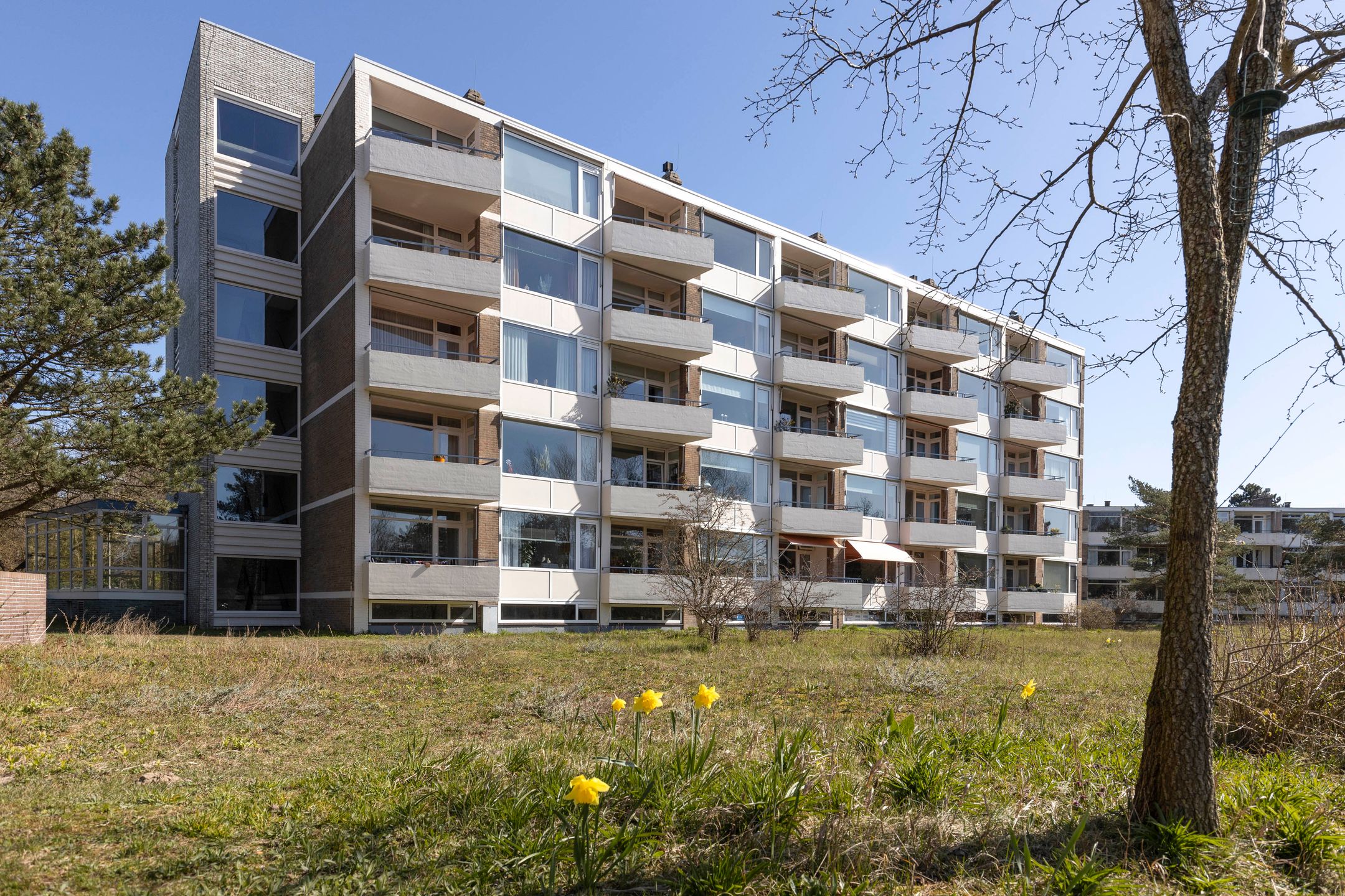 Saxenrodeweg, 62, Bentveld, 2116VC, Noord-Holland, Nederland 62