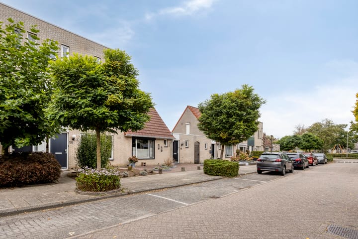 Foto 2 van Wanyng 11