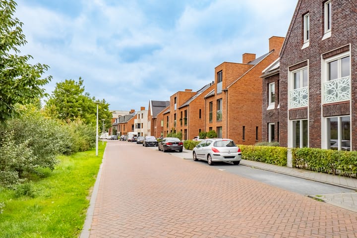 Foto 60 van Wilde rijstvliet 96