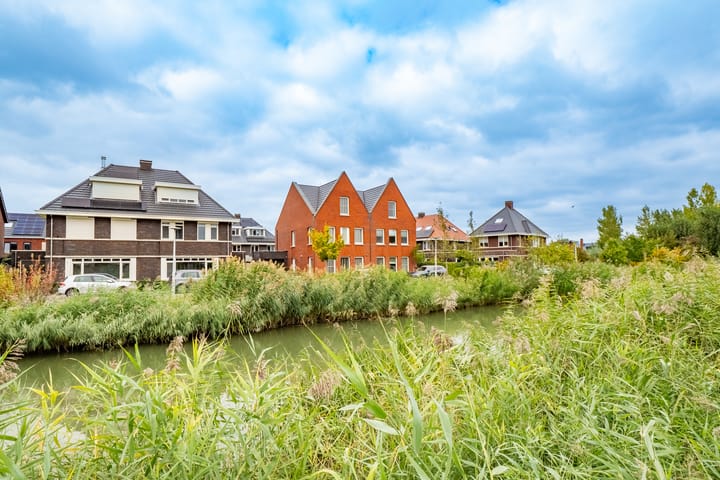 Foto 61 van Wilde rijstvliet 96