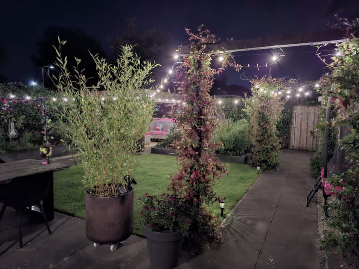 Foto 30 van Drukpers 20