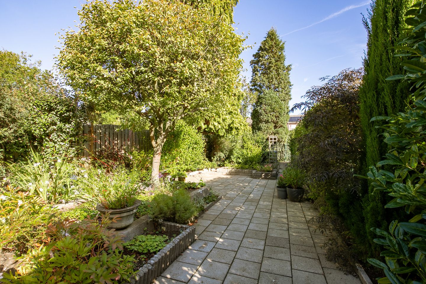 Foto 19 van Titus Brandsmastraat 41