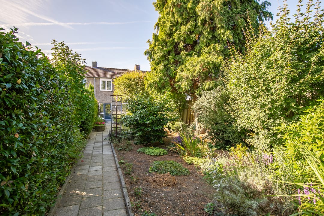 Foto 22 van Titus Brandsmastraat 41