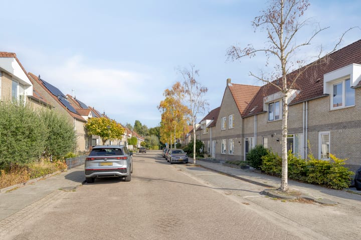 Foto 31 van Bieslook 23