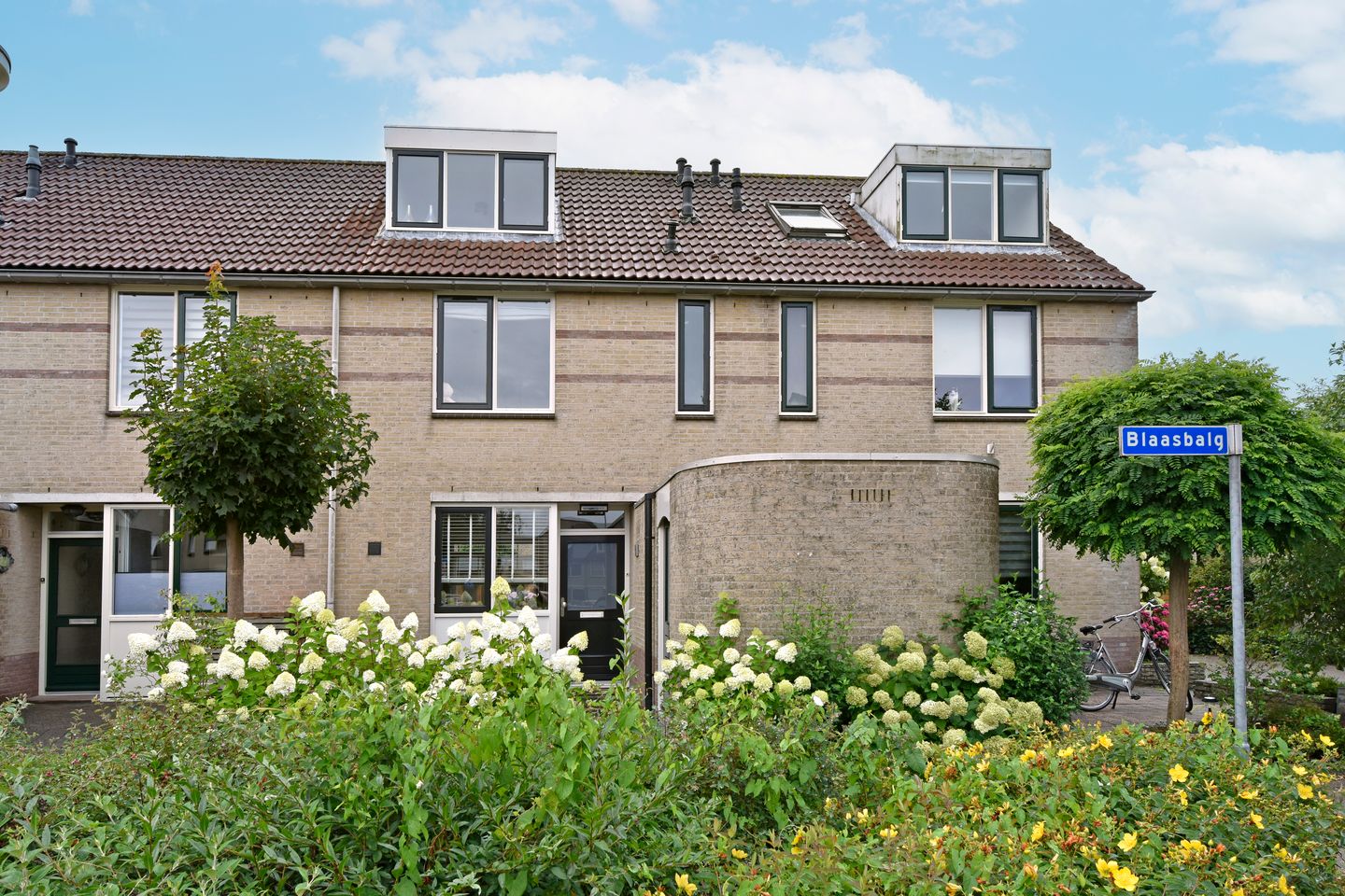 Foto 29 van Blaasbalg 41