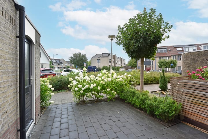 Photo 30 of Blaasbalg 41