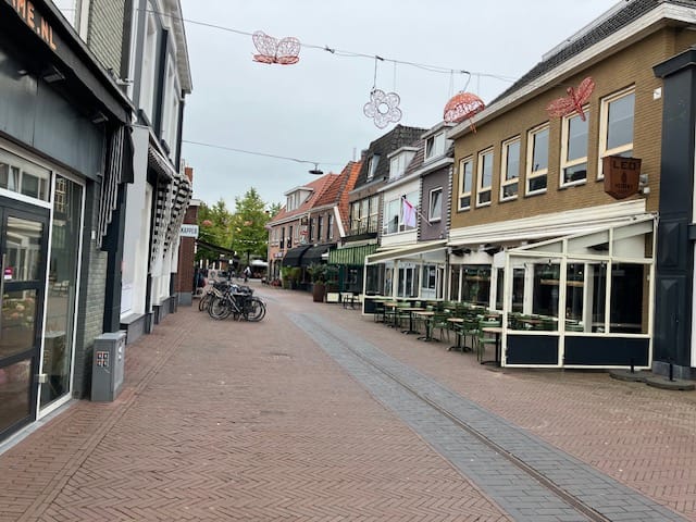 Bekijk foto 3 van Rapenburgsestraat 11
