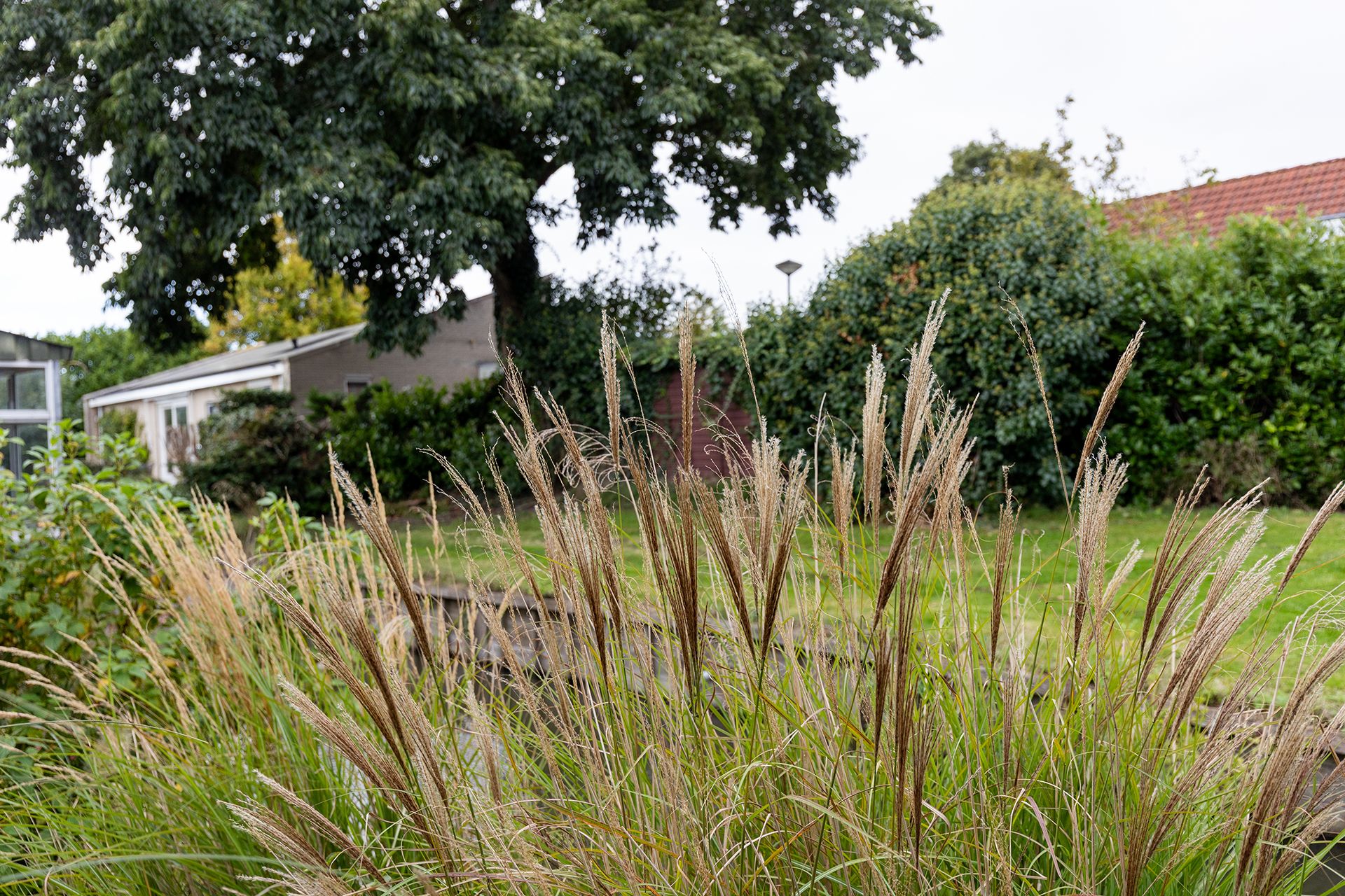 Foto 54 van Broekerhavenweg 22