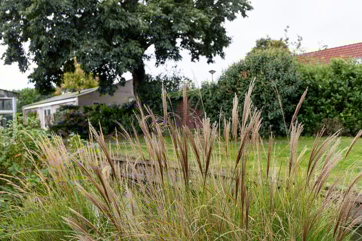 Foto 54 van Broekerhavenweg 22